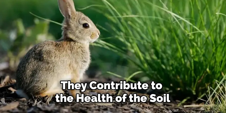 They Contribute to the Health of the Soil