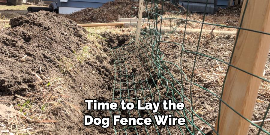 Time to Lay the Dog Fence Wire