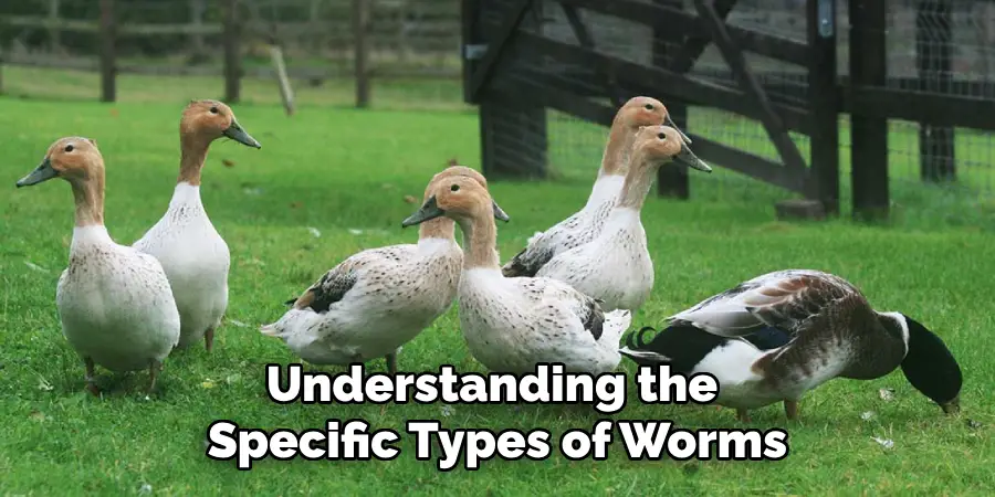 Understanding the Specific Types of Worms