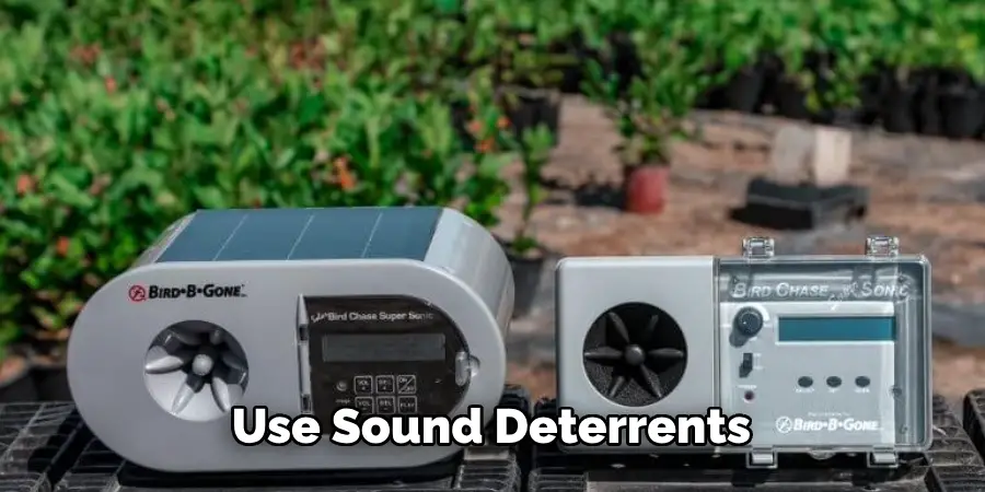 Use Sound Deterrents