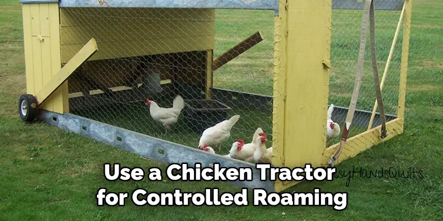 Use a Chicken Tractor for Controlled Roaming