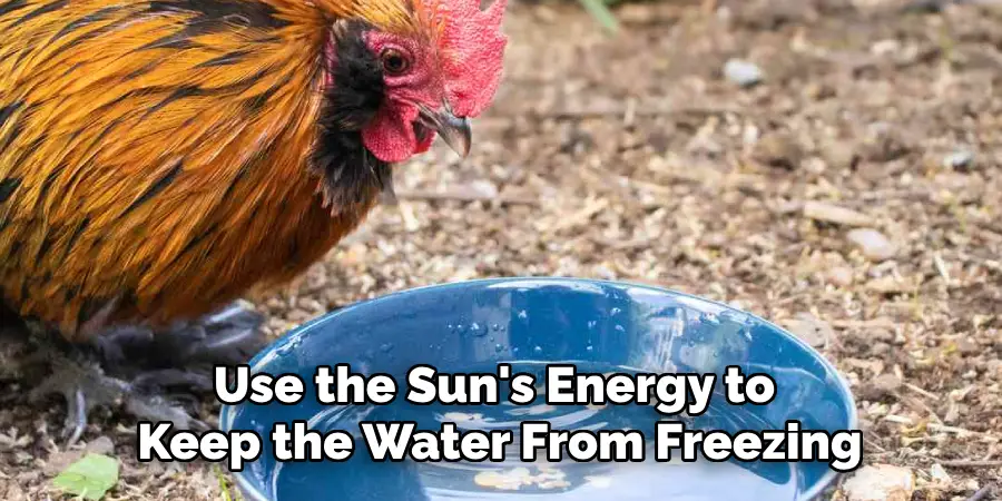 Use the Sun's Energy to Keep the Water From Freezing