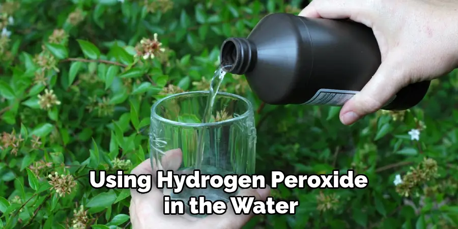Using Hydrogen Peroxide in the Water