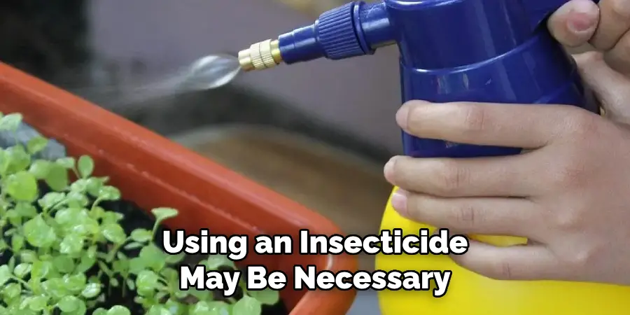 Using an Insecticide May Be Necessary