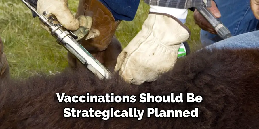 Vaccinations Should Be Strategically Planned