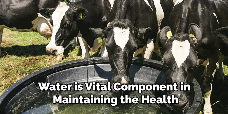 Water is Vital Component in Maintaining the Health