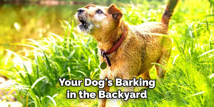 Your Dog's Barking in the Backyard