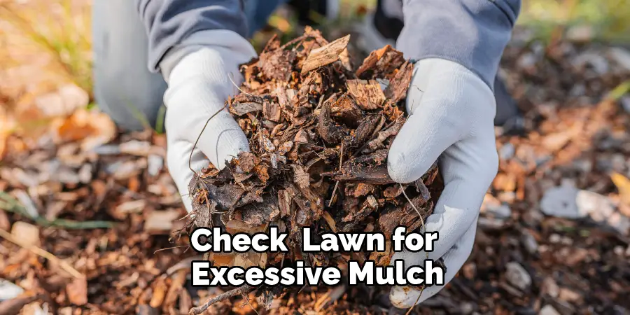 Check  Lawn for Excessive Mulch