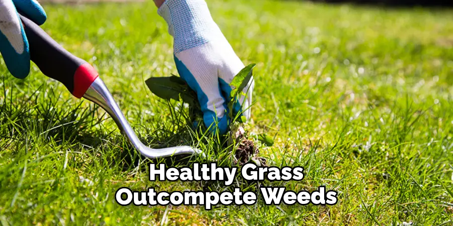 Healthy Grass Outcompete Weeds 
