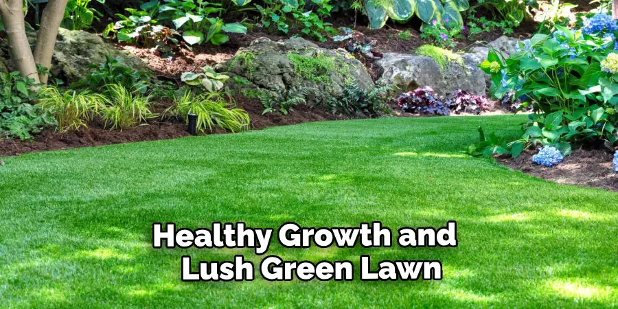 Healthy Growth and a Lush Green Lawn