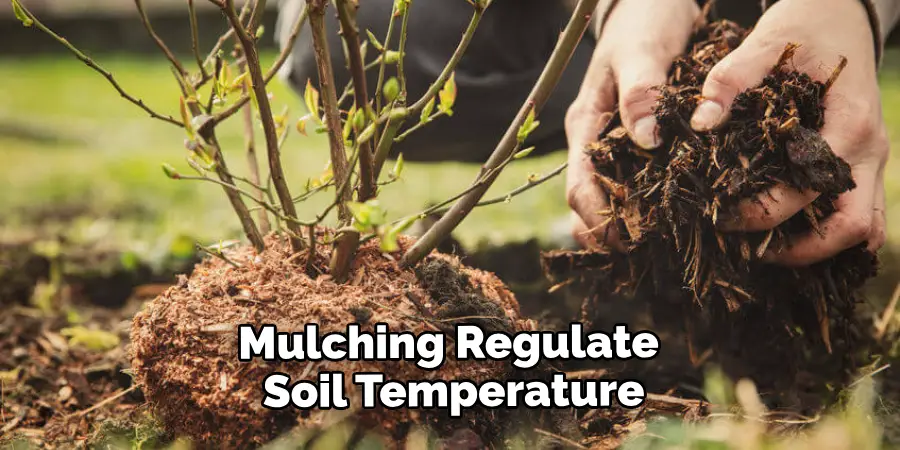 Mulching Regulate Soil Temperature