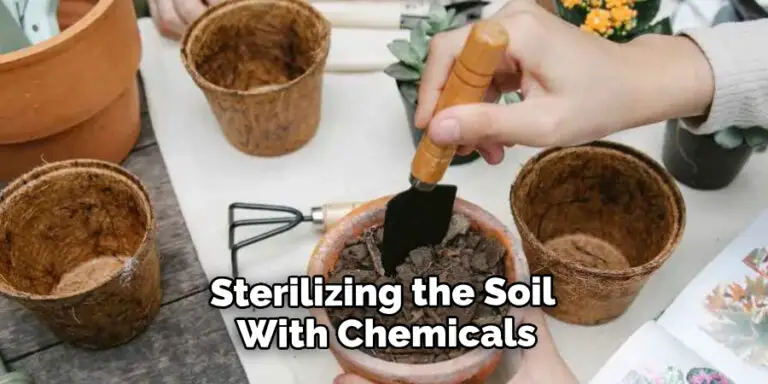How to Sterilize Soil With Chemicals | 10 Easy Steps (2026)