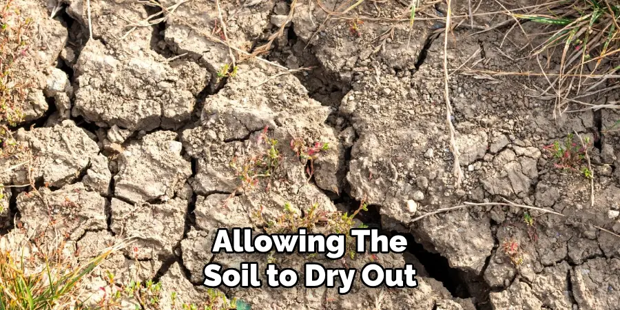 Allowing the
Soil to Dry Out