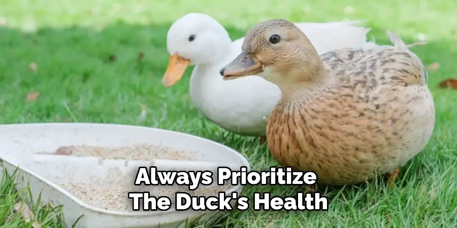 Always Prioritize
The Duck's Health
