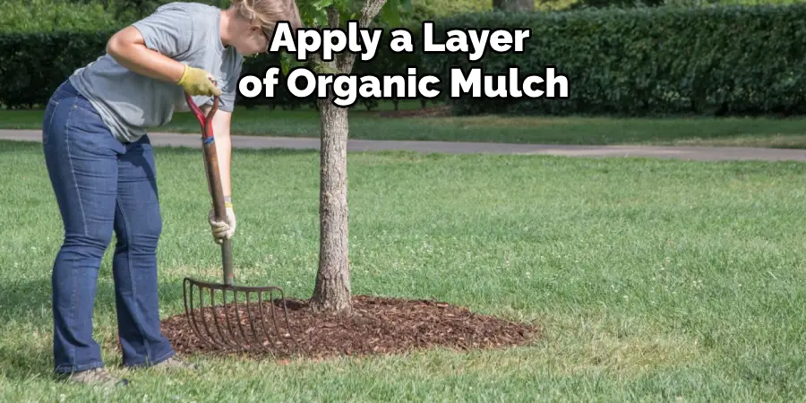 Apply a Layer of Organic Mulch