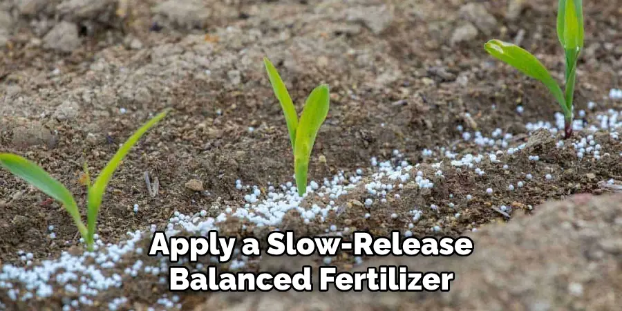 Apply a Slow-release
Balanced Fertilizer