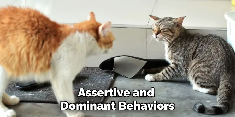 Assertive and 
Dominant Behaviors