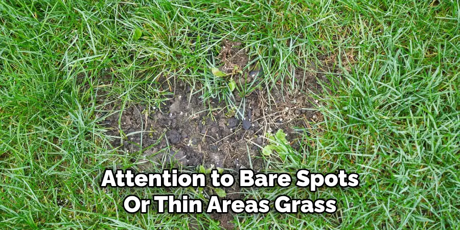 Attention to Bare Spots
Or Thin Areas Grass