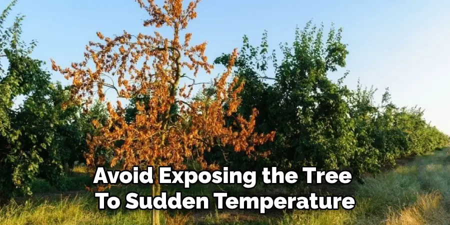 Avoid Exposing the Tree 
To Sudden Temperature
