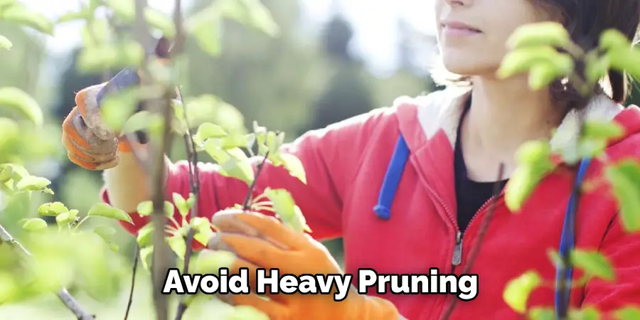 Avoid Heavy Pruning