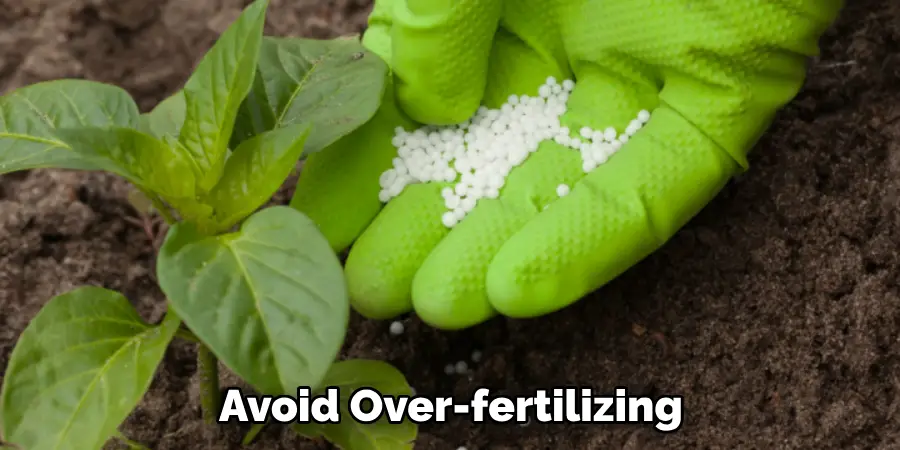 Avoid Over-fertilizing