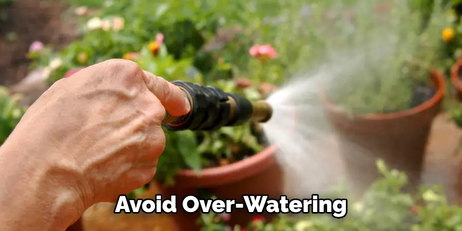Avoid Over-watering