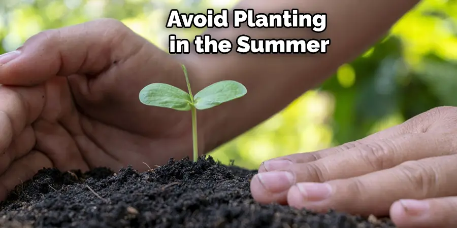 Avoid Planting 
in the Summer