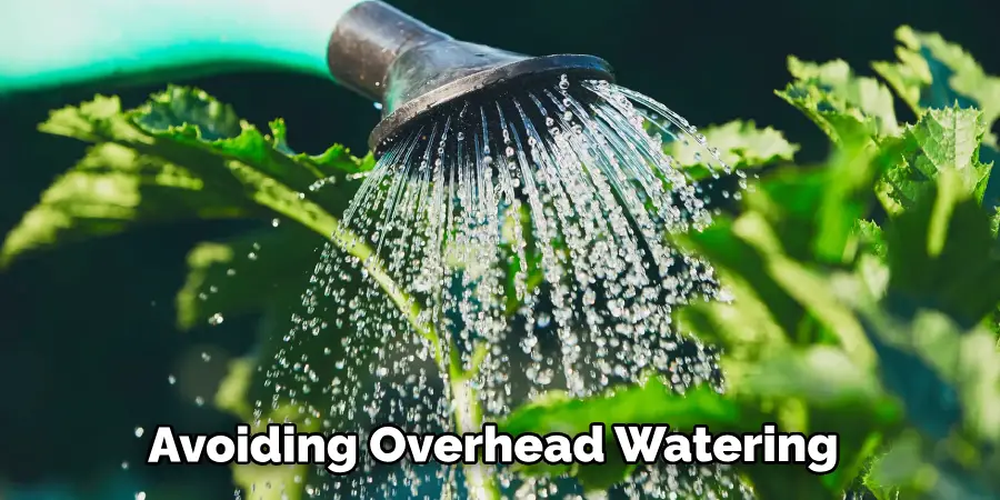 Avoiding Overhead Watering