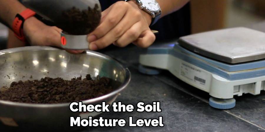 Check the Soil Moisture Level