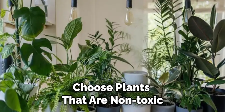 Choose Plants 
That Are Non-toxic
