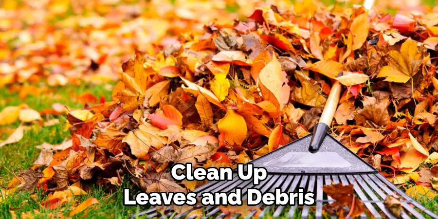 Clean Up
Leaves and Debris