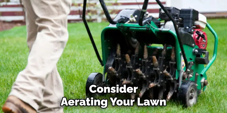 Consider
Aerating Your Lawn