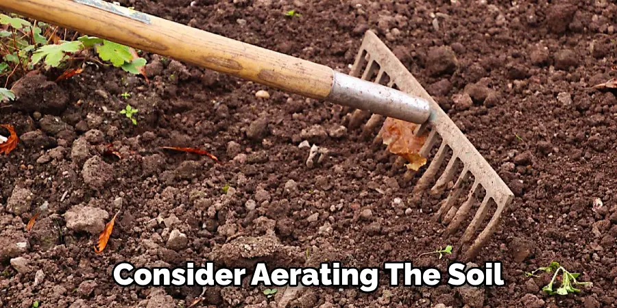 Consider Aerating the Soil
