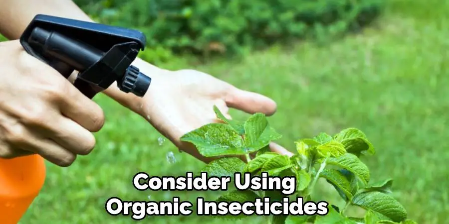 Consider Using Organic Insecticides
