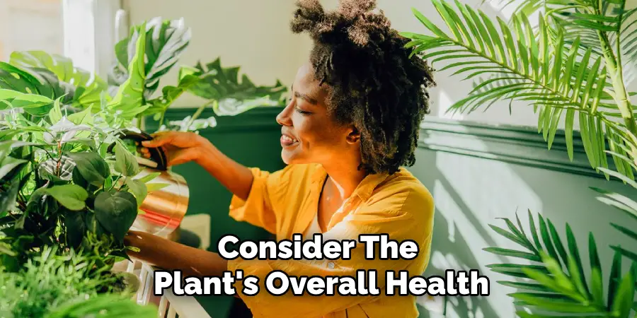 Consider the
Plant's Overall Health