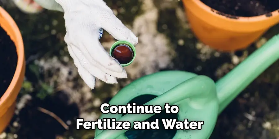 Continue to 
Fertilize and Water