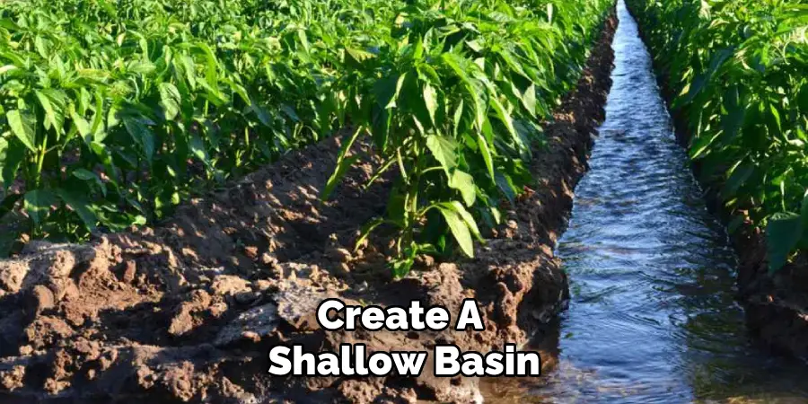 Create a 
Shallow Basin