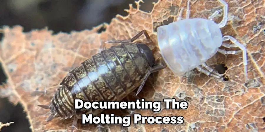 Documenting the
Molting Process
