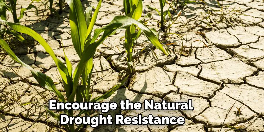 Encourage the Natural Drought Resistance