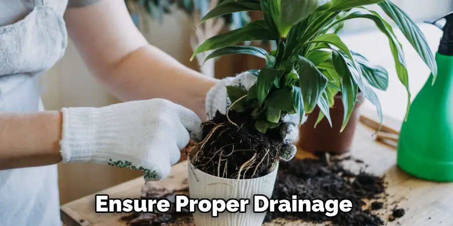 Ensure Proper Drainage 