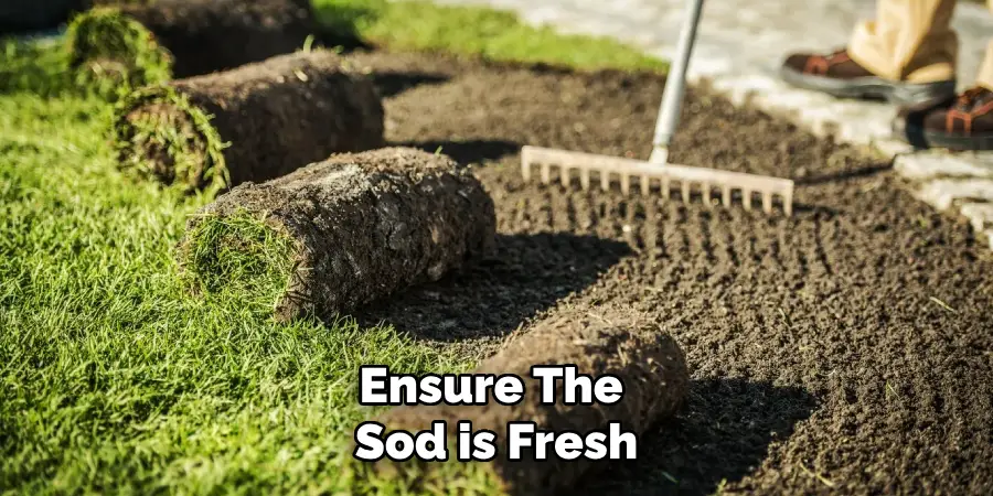 Ensure the 
Sod is Fresh