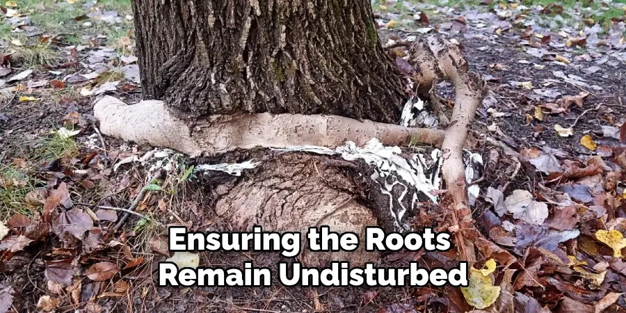Ensuring the Roots 
Remain Undisturbed