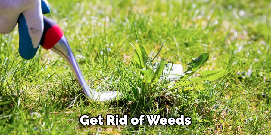 Get Rid of Weeds