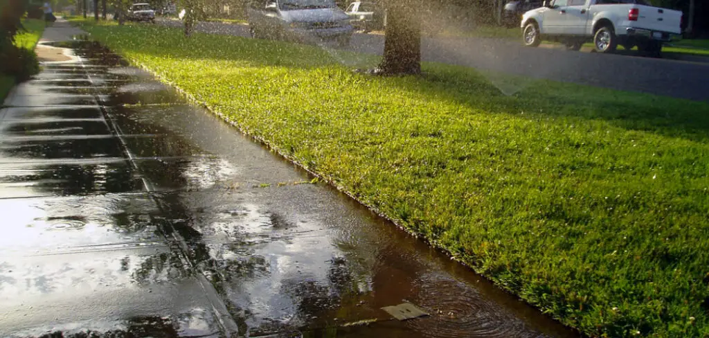 How to Fix Overwatered Lawn