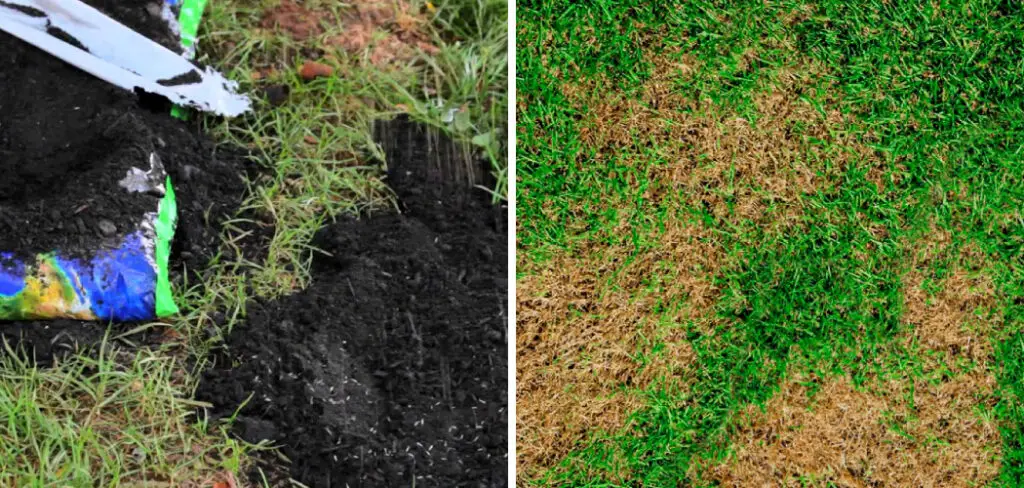 How to Fix Sunken Spots in Lawn