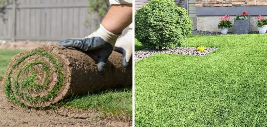 How to Lay Down Sod Over Existing Lawn