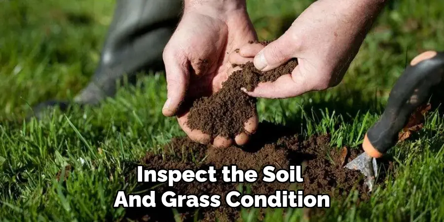 Inspect the Soil 
And Grass Condition