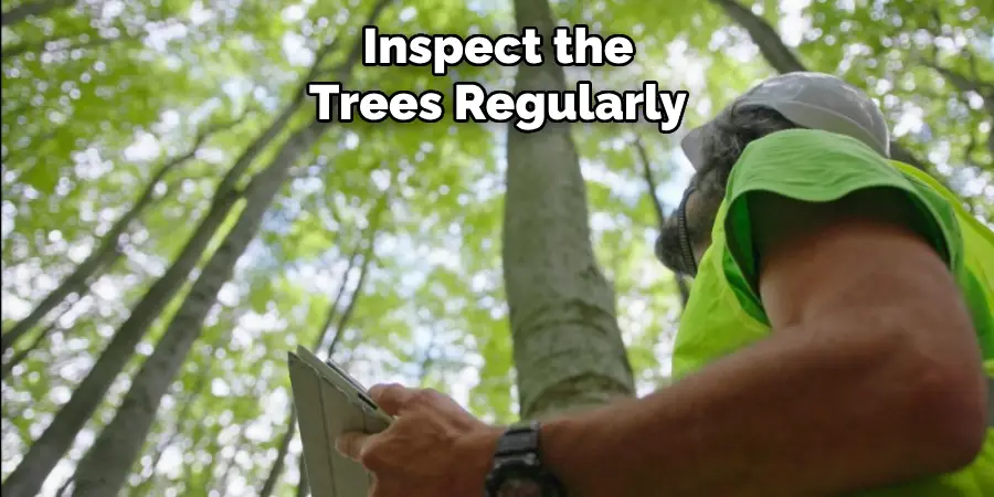Inspect the trees regularly