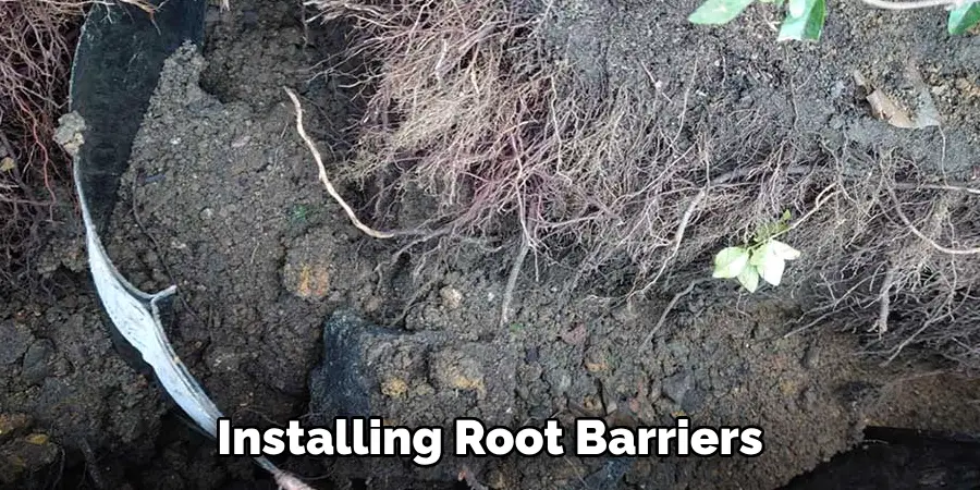 Installing Root Barriers