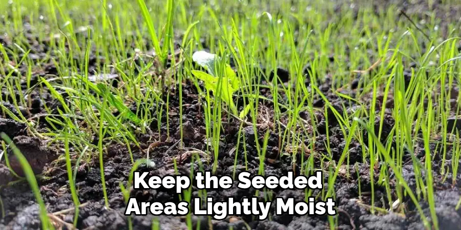 Keep the Seeded 
Areas Lightly Moist